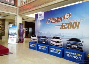 17吉利 一起go 吉利汽車(chē)嘉年華鄭州站圓滿(mǎn)落幕